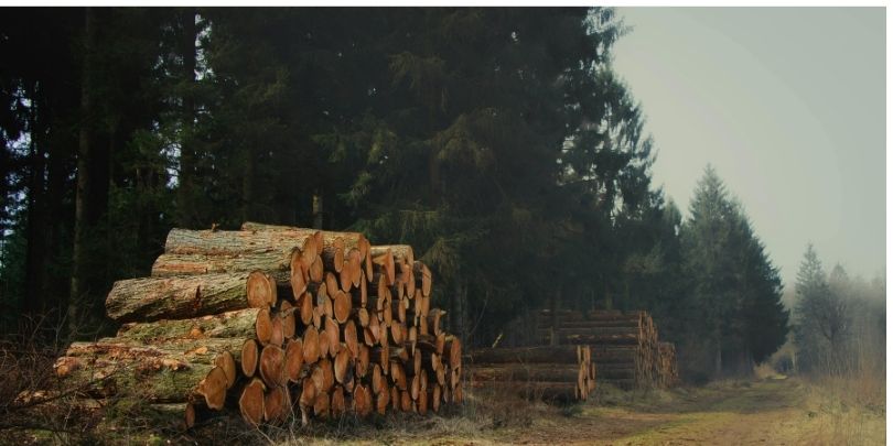 komlohabilitas.unas.hu