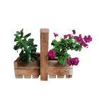 Füles kosár, virágtartó, rusztikus kivitelben