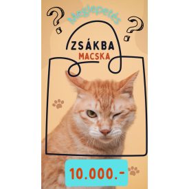   III. Zsákbamacska a mindig talpra érkezőknek, zöld nyakörveseknek